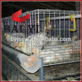 Jaula de pollo / Chick Layer Cage / Chicken House Venta caliente de alta calidad